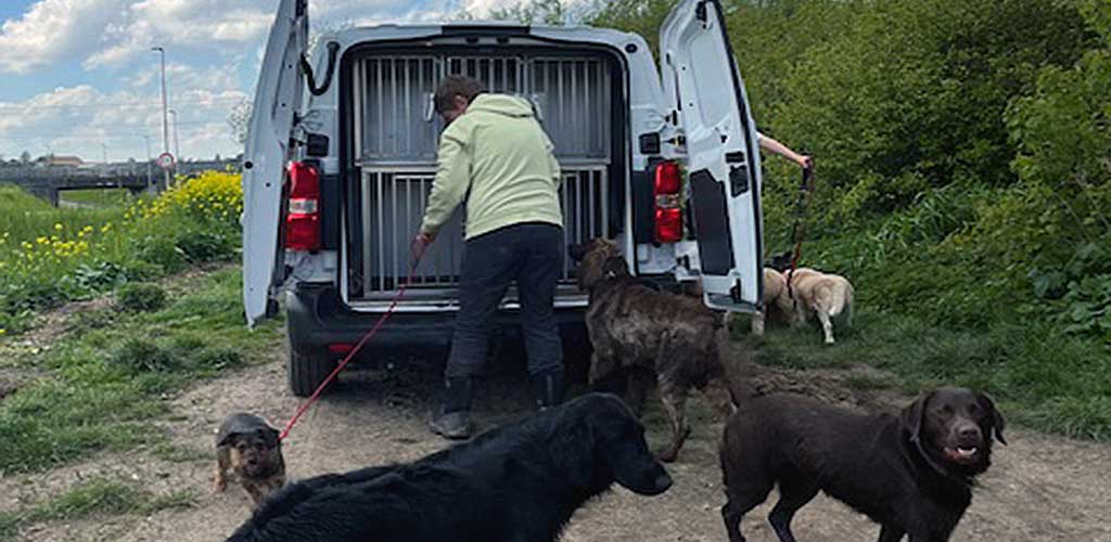 beste-honden-uitlaatservice-rataplan